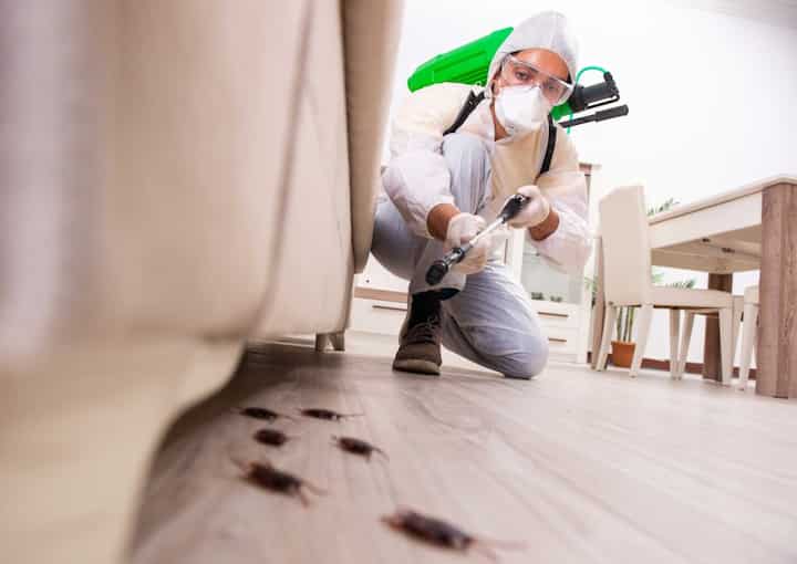 Get Reliable Pest Control Services in Grand Rapids, MI Now!